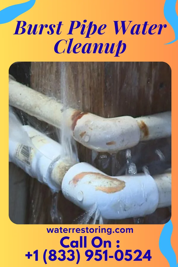 Burst Pipe Water Cleanup in Delta, PA