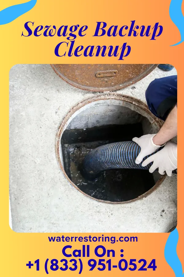 Sewage Backup Cleanup in Delta, PA