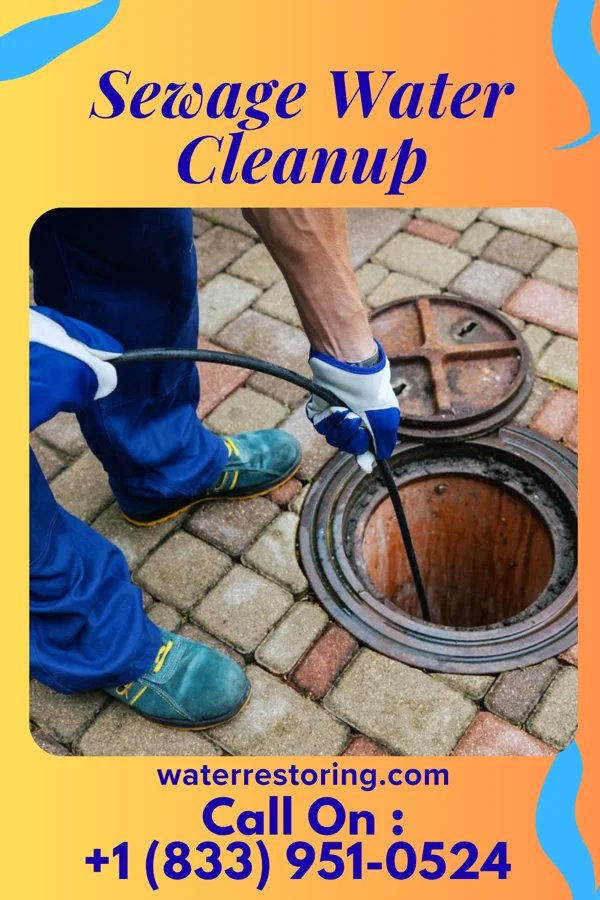 Sewage Water Cleanup in Delta, PA